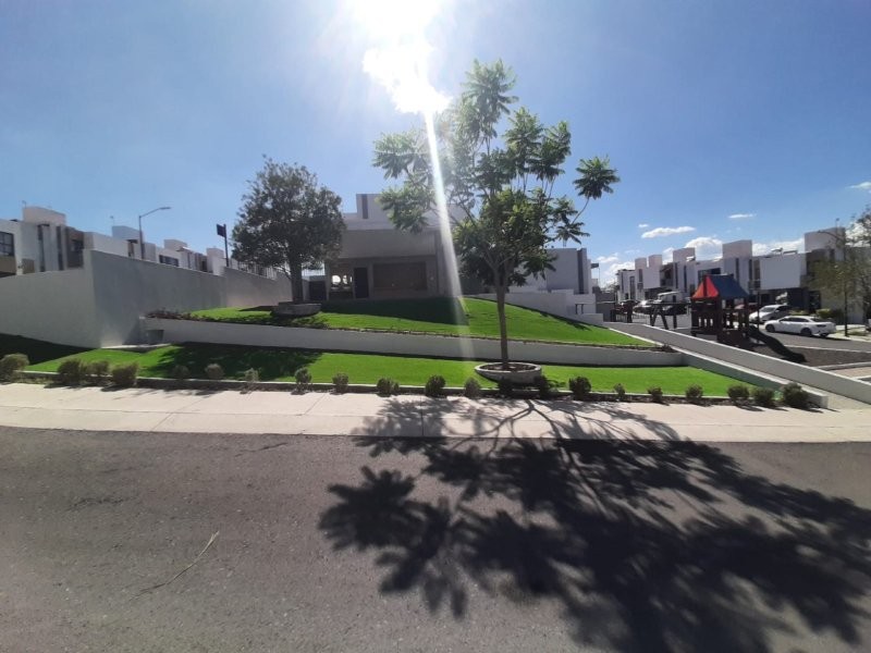 WhatsApp Image 2025-06-07 at 10.02.57 PM