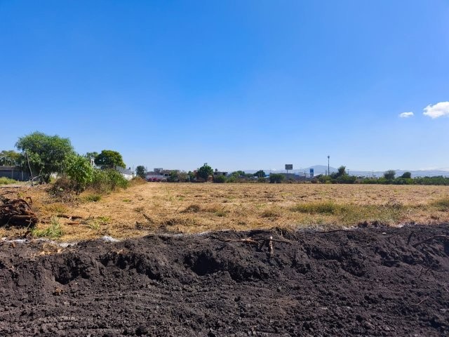 WhatsApp Image 2025-11-28 at 6.46.23 PM (1)