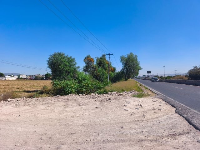 WhatsApp Image 2025-11-28 at 6.46.28 PM (2)