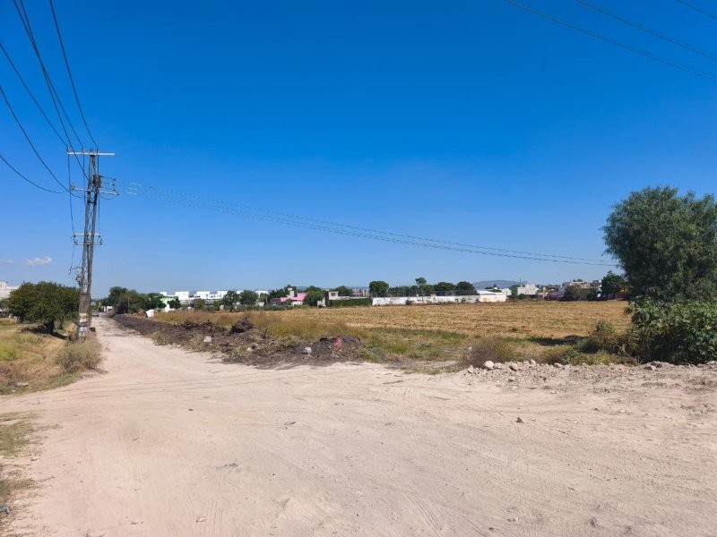 WhatsApp Image 2025-11-28 at 6.46.28 PM (3)