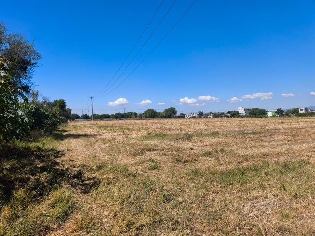 WhatsApp Image 2025-11-28 at 6.46.29 PM (1)