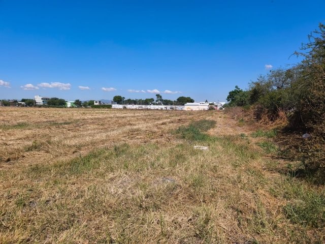 WhatsApp Image 2025-11-28 at 6.46.29 PM (4)