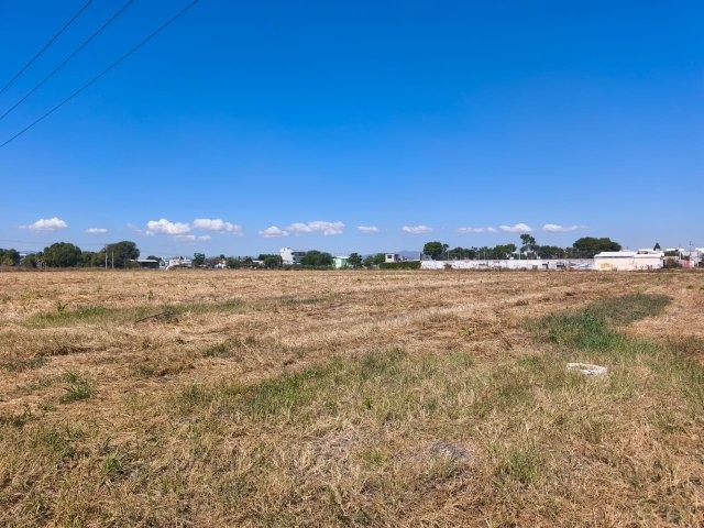 WhatsApp Image 2025-11-28 at 6.46.29 PM