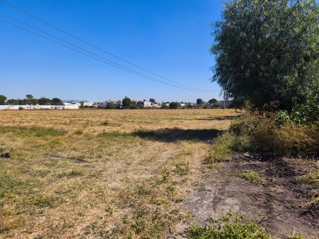 WhatsApp Image 2025-11-28 at 6.46.31 PM (1)