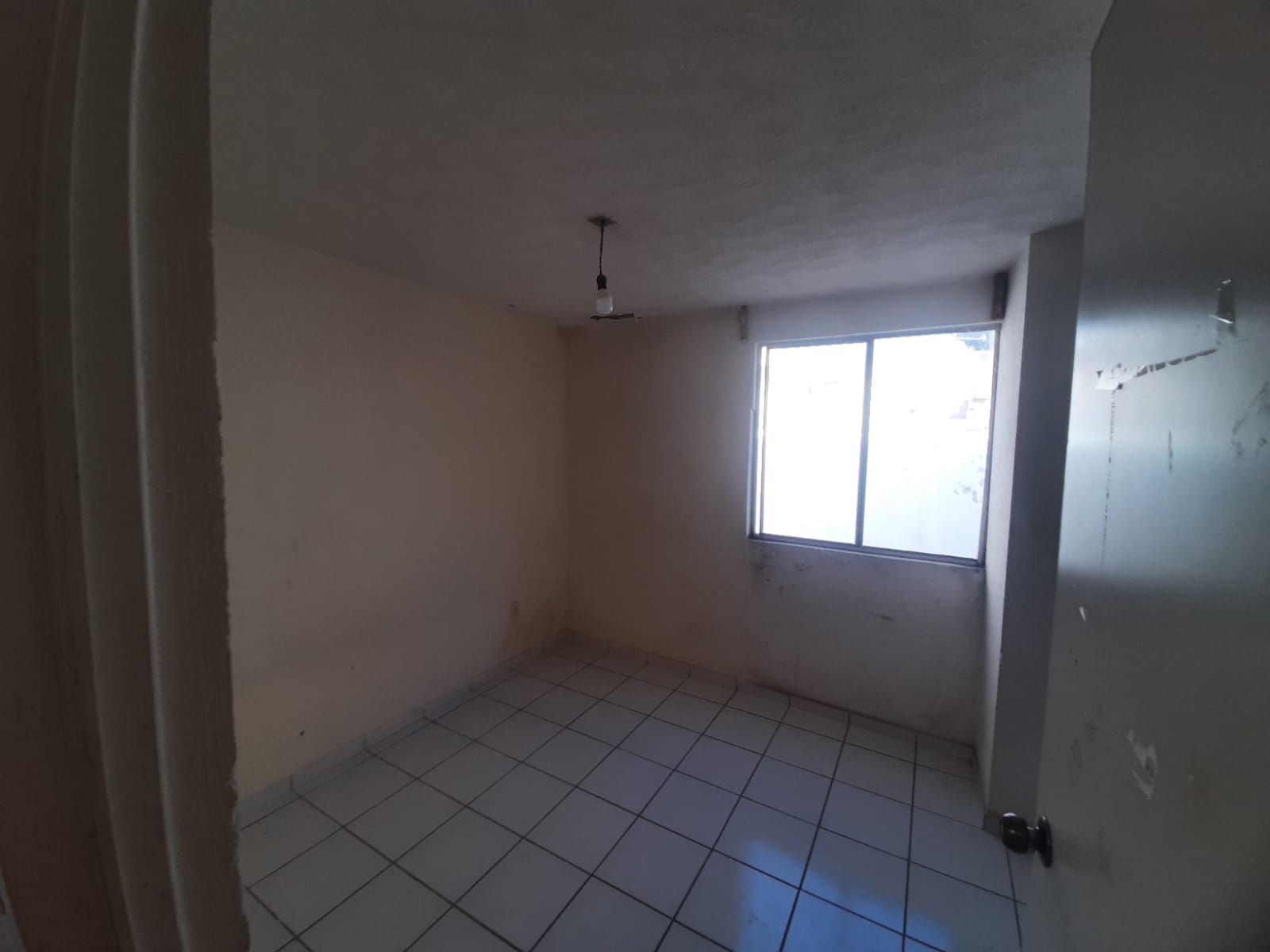 WhatsApp Image 2025-12-11 at 1.50.05 PM