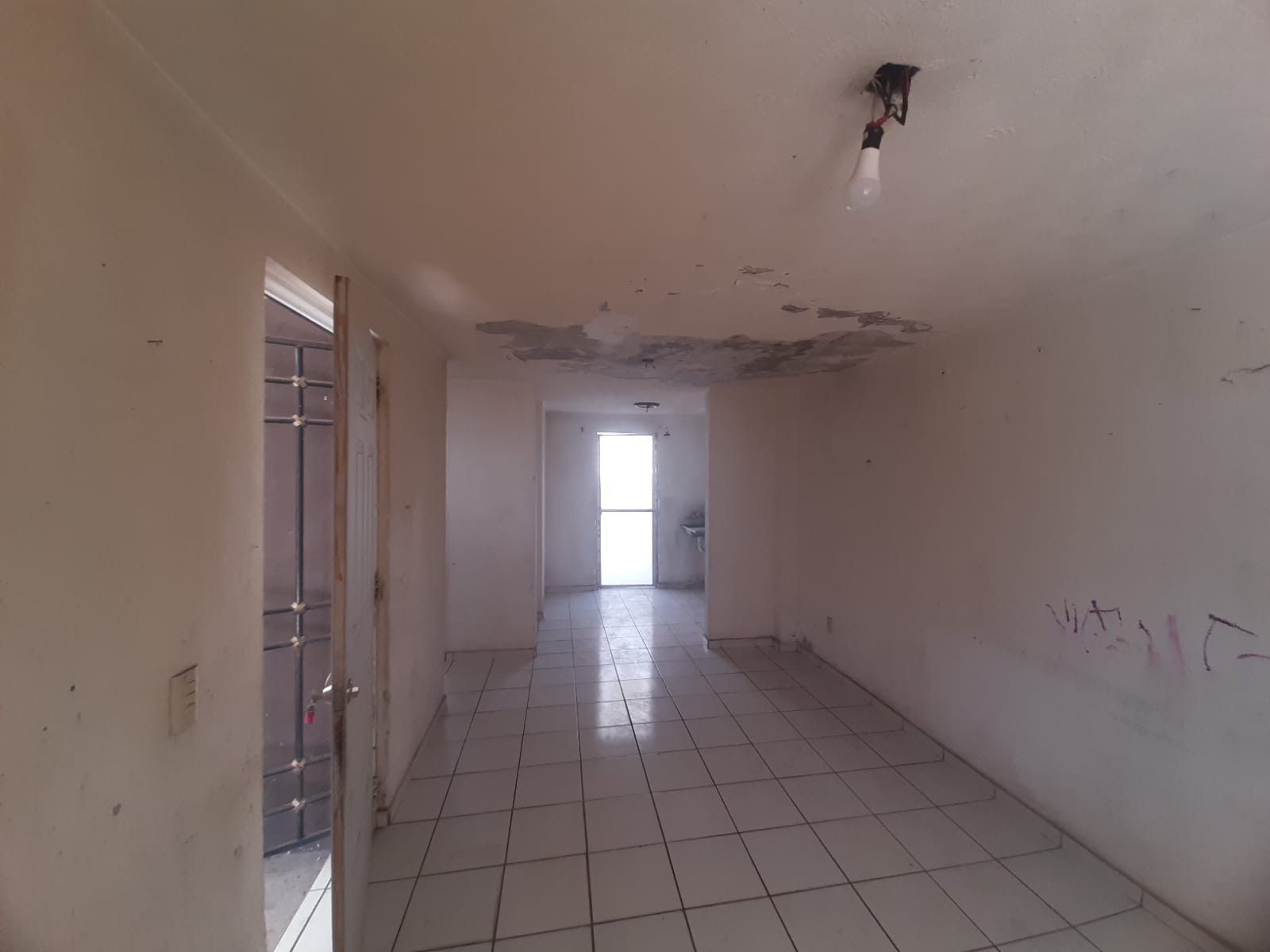 WhatsApp Image 2025-12-11 at 1.50.07 PM