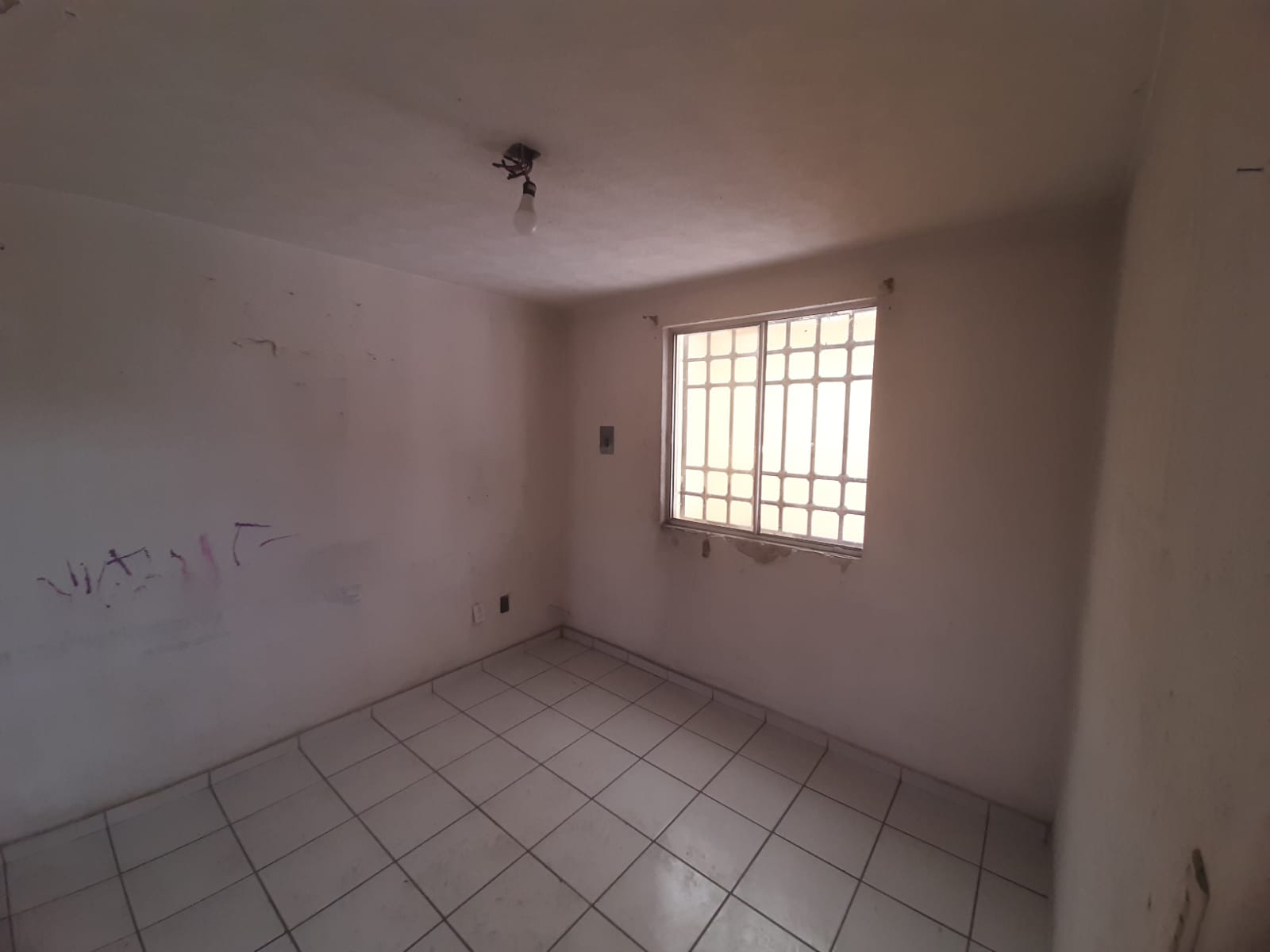 WhatsApp Image 2025-12-11 at 1.50.09 PM